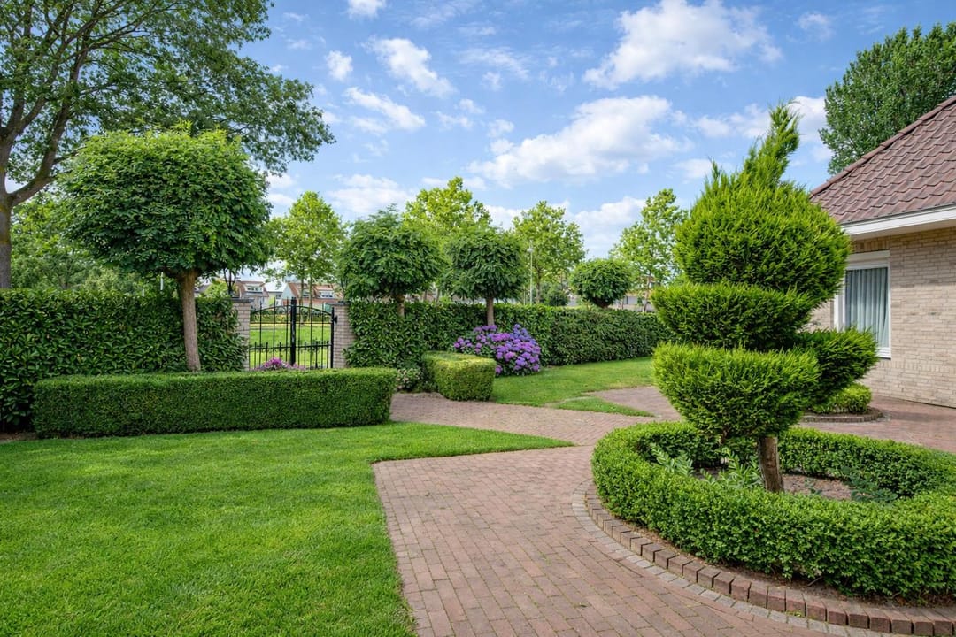 Foto 41 van Agaatvlinder 34