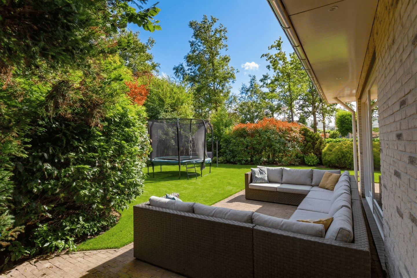 Foto 40 van Agaatvlinder 34