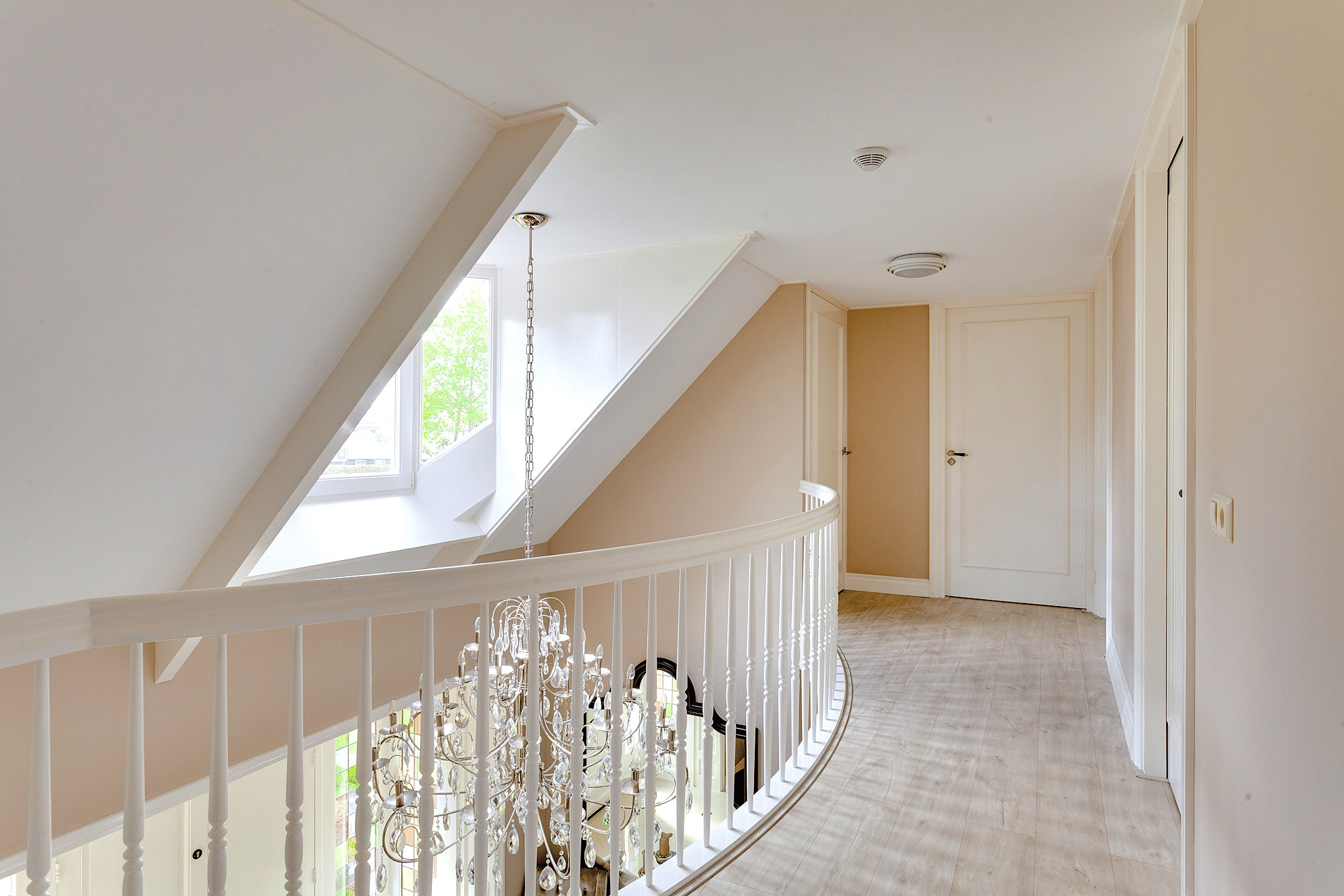 Foto 24 van Agaatvlinder 34