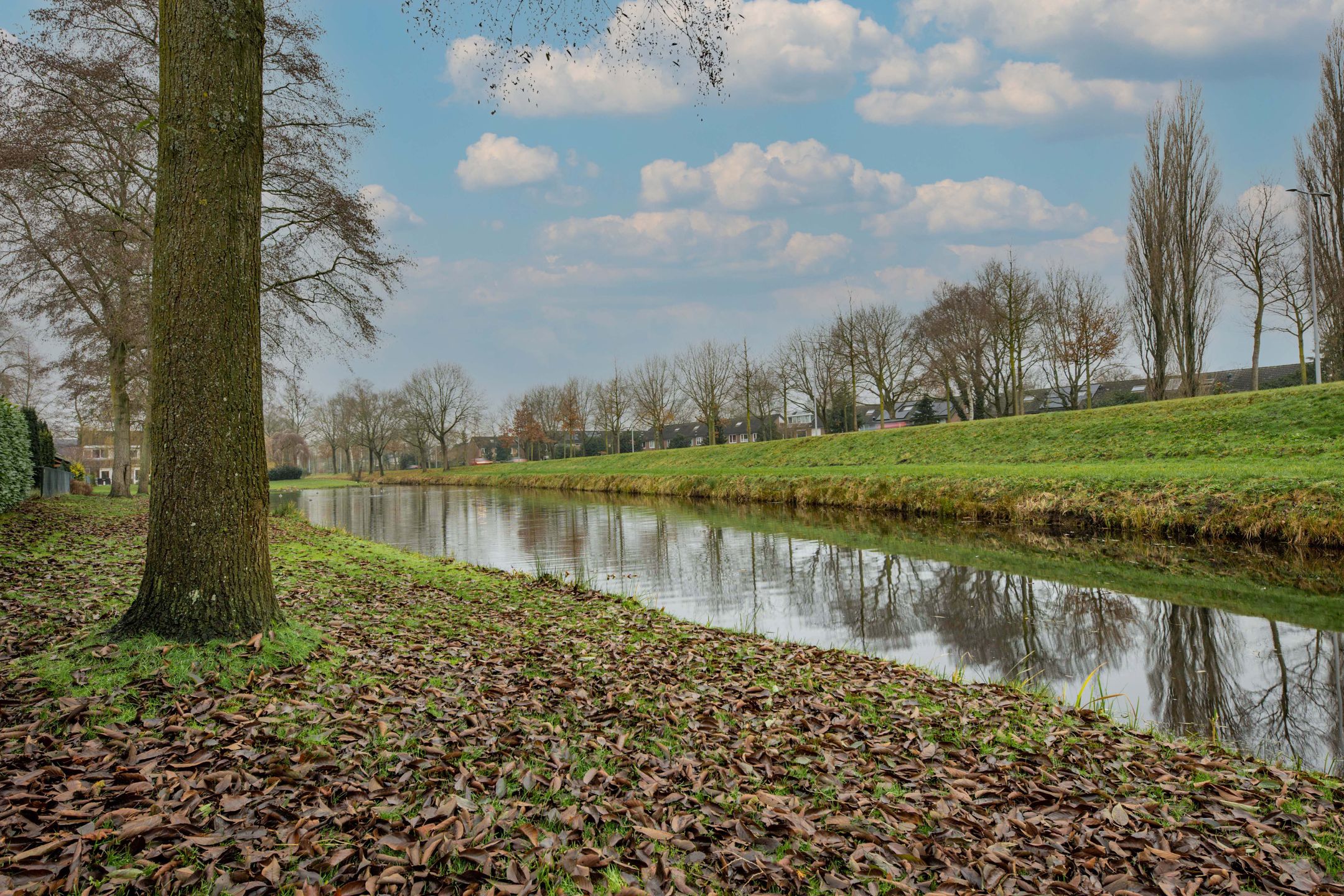 Foto 54 van Meerkoetlaan 46