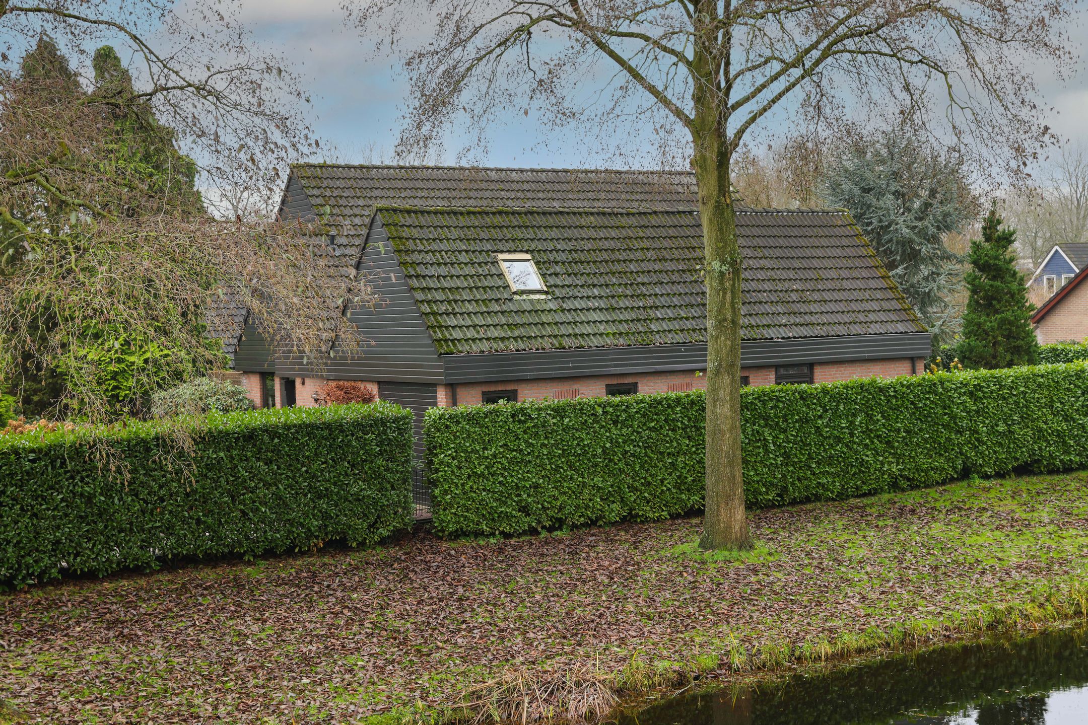 Foto 51 van Meerkoetlaan 46