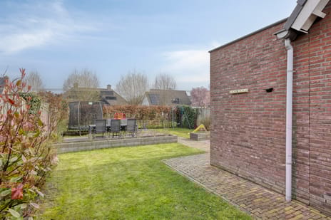 Veldleeuwerik 10 tertiary image