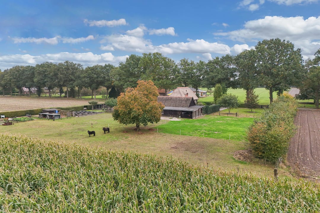 Photo 46 of Paasloregel 92