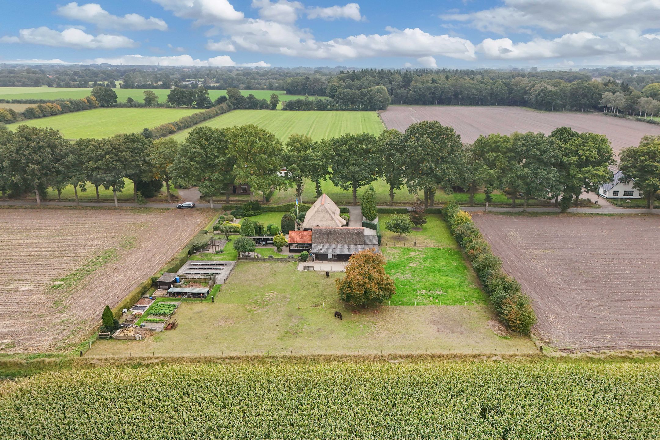 Photo 48 of Paasloregel 92