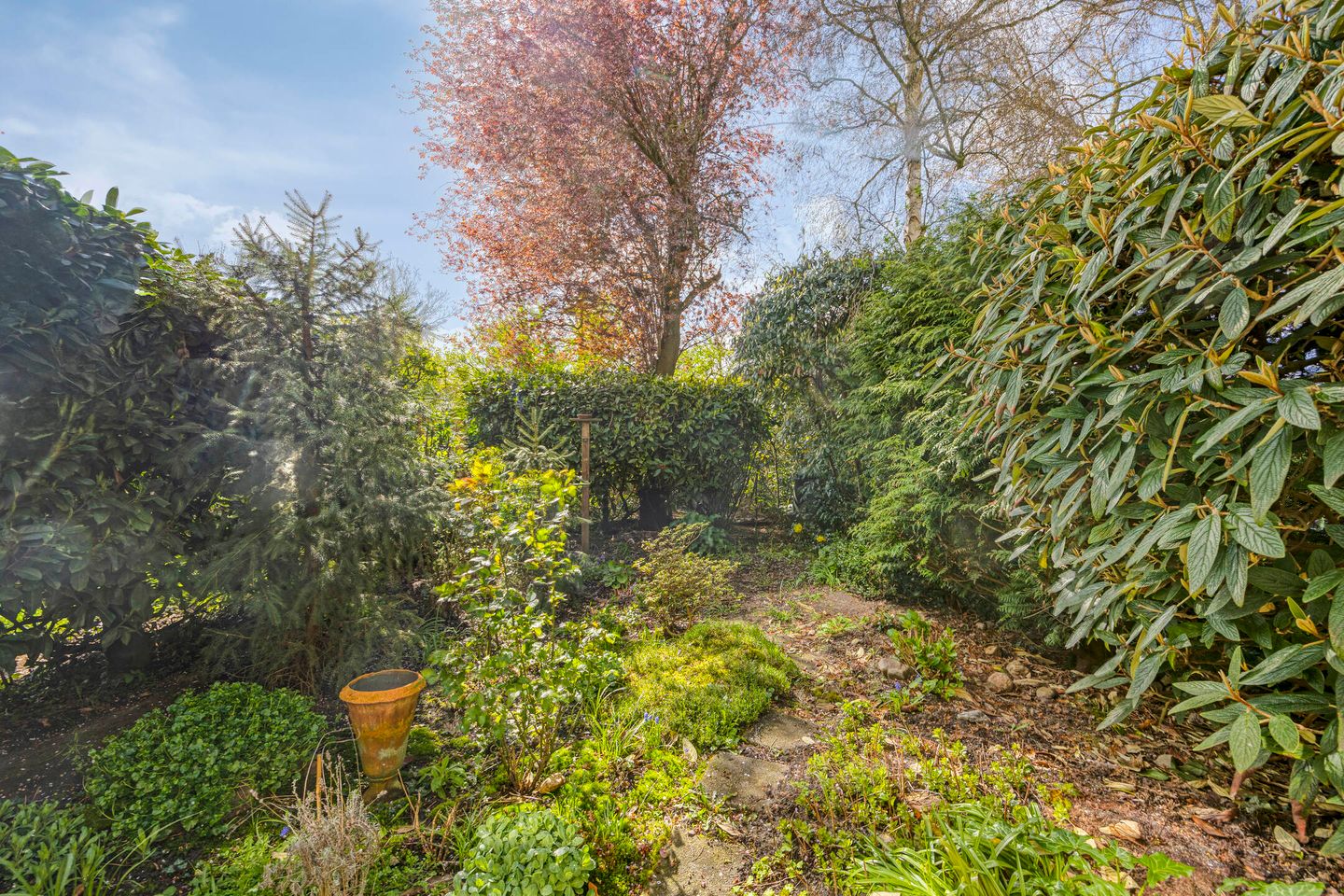 Photo 5 of Bronkhorst 4