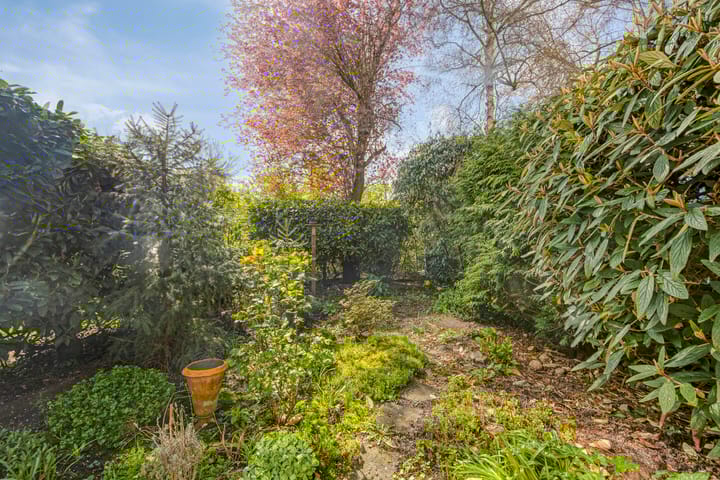 Photo 5 of Bronkhorst 4