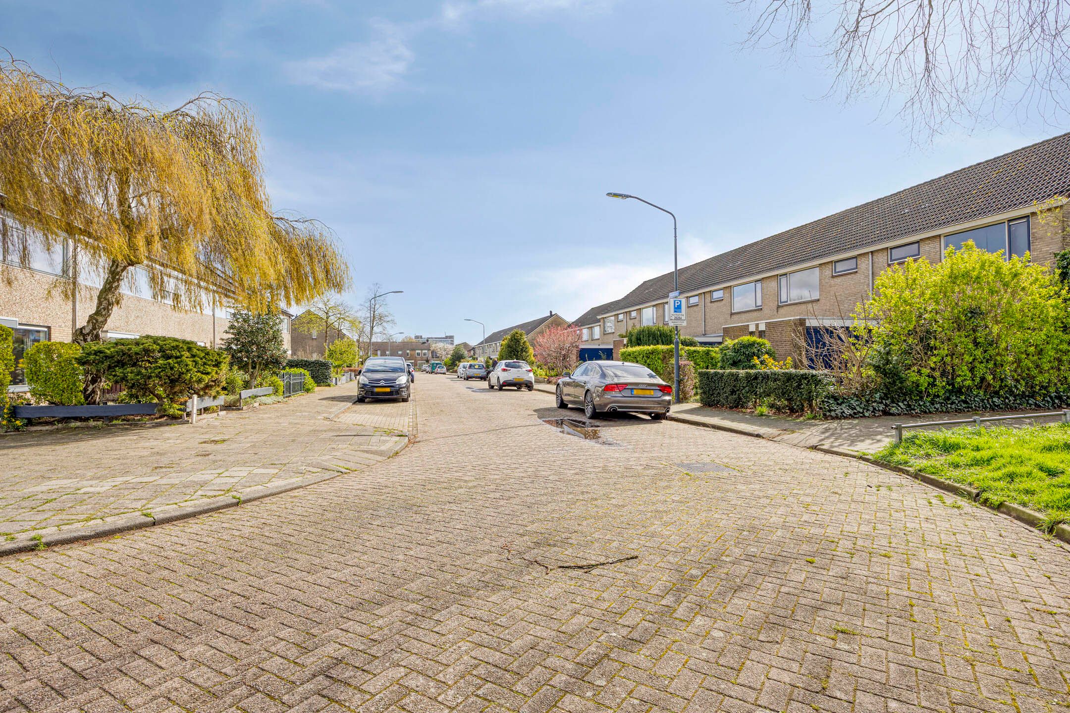 Photo 33 of Bronkhorst 4