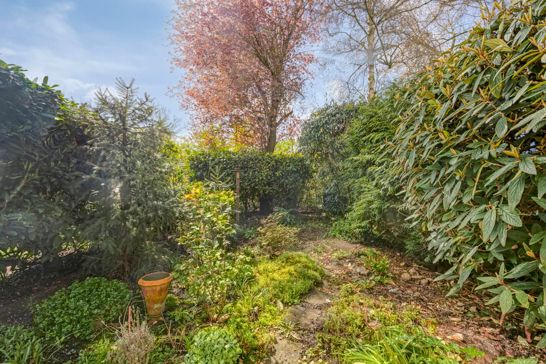 Photo 16 of Bronkhorst 4