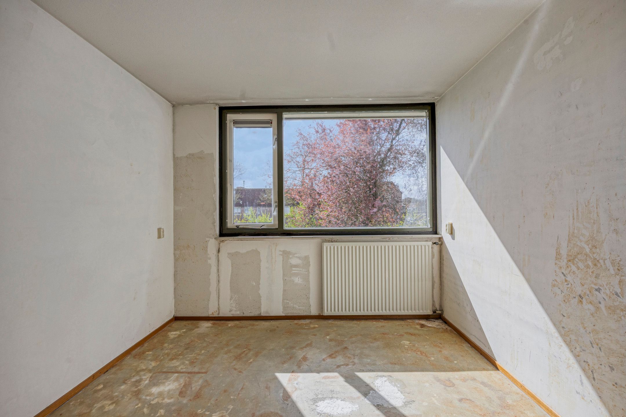 Photo 21 of Bronkhorst 4