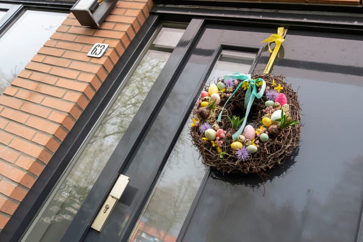 Donsvlinderstraat 63