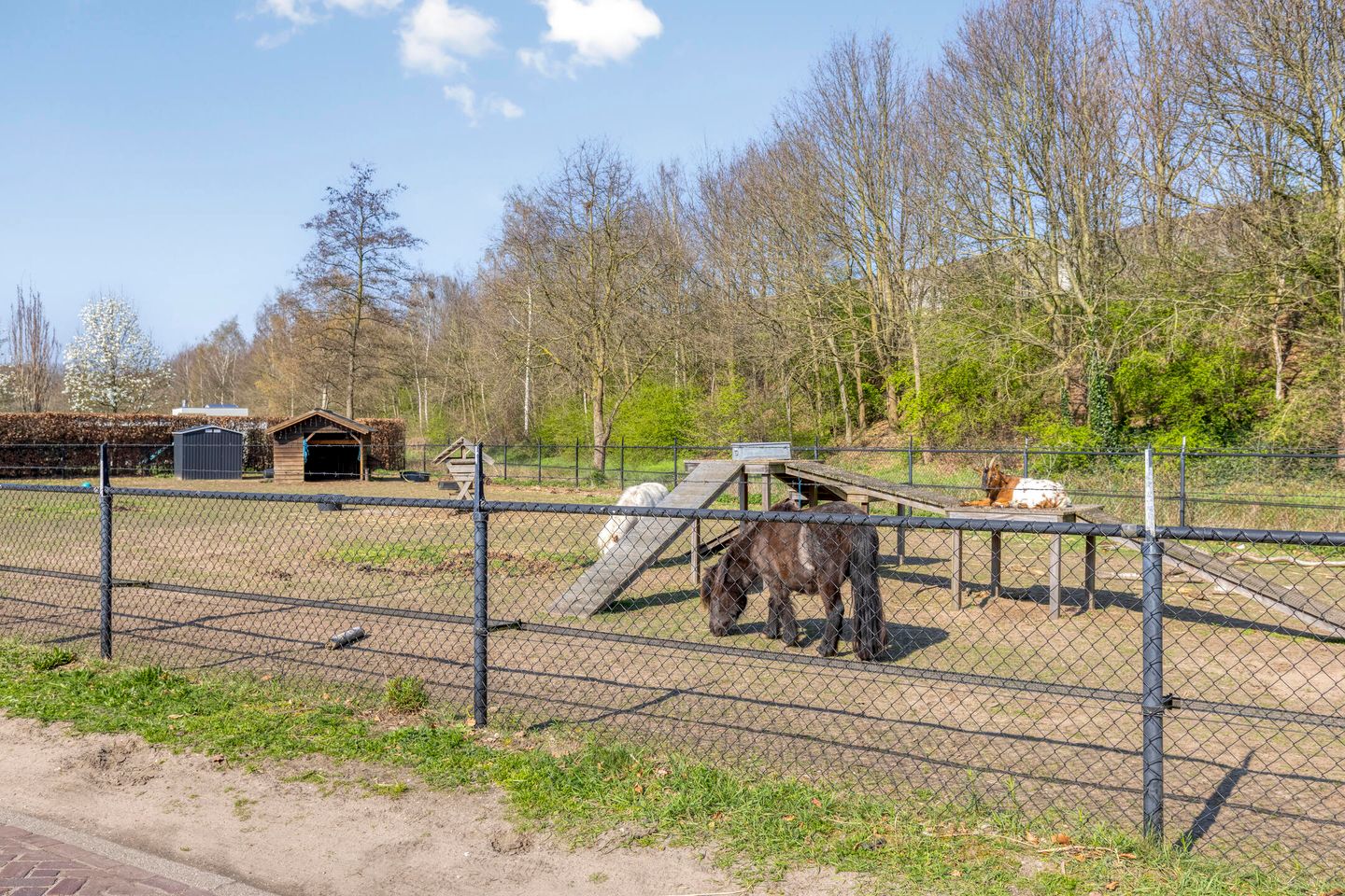 Foto 65 van Meursstraat 5