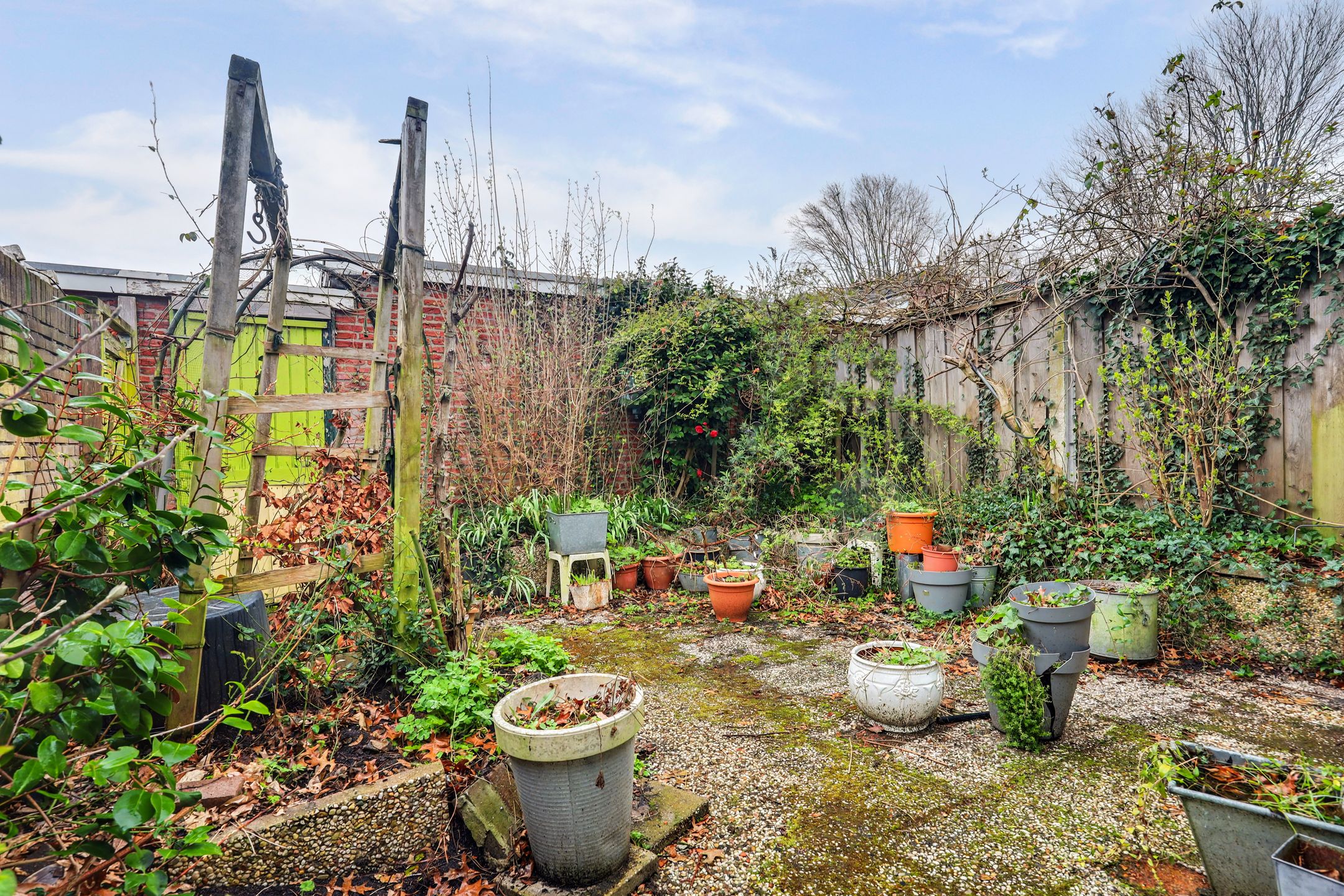 Photo 21 of Lijsterstraat 101