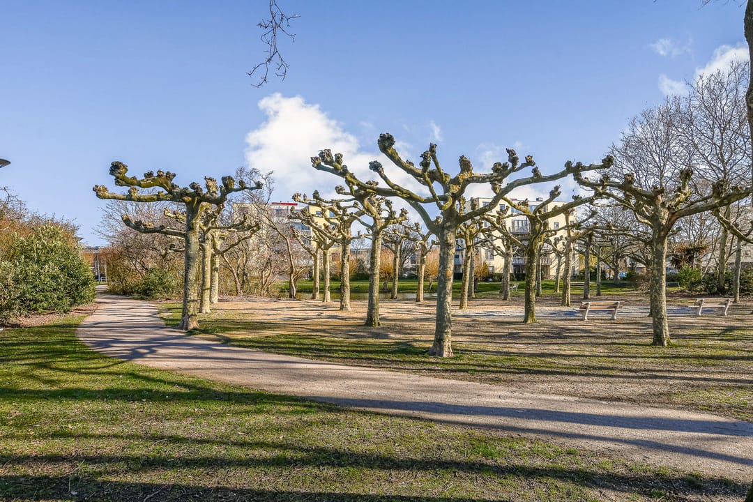 Photo 26 of Schaepmanstraat 12