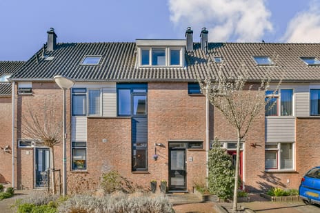 Schaepmanstraat thumbnail