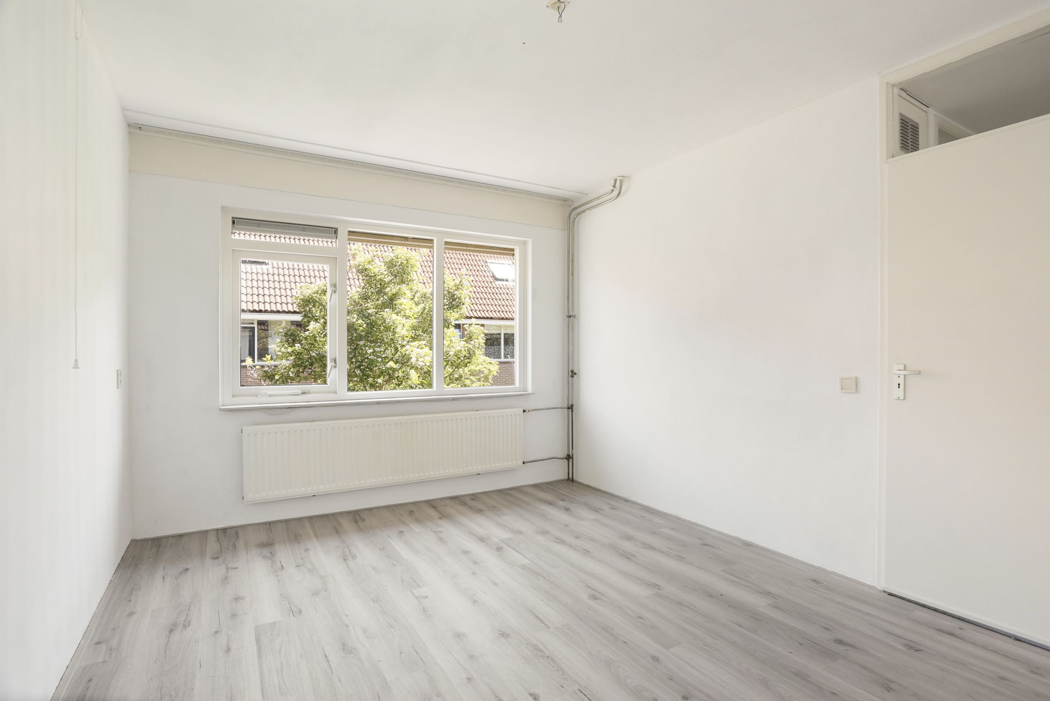 Foto 12 van Bezembinder 37