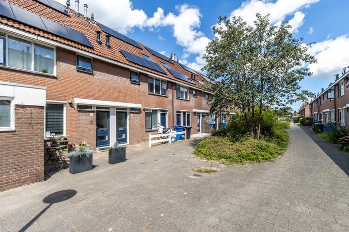 Photo 5 of Bezembinder 37