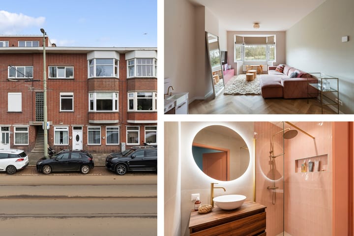 Foto 2 van Duivelandsestraat 103