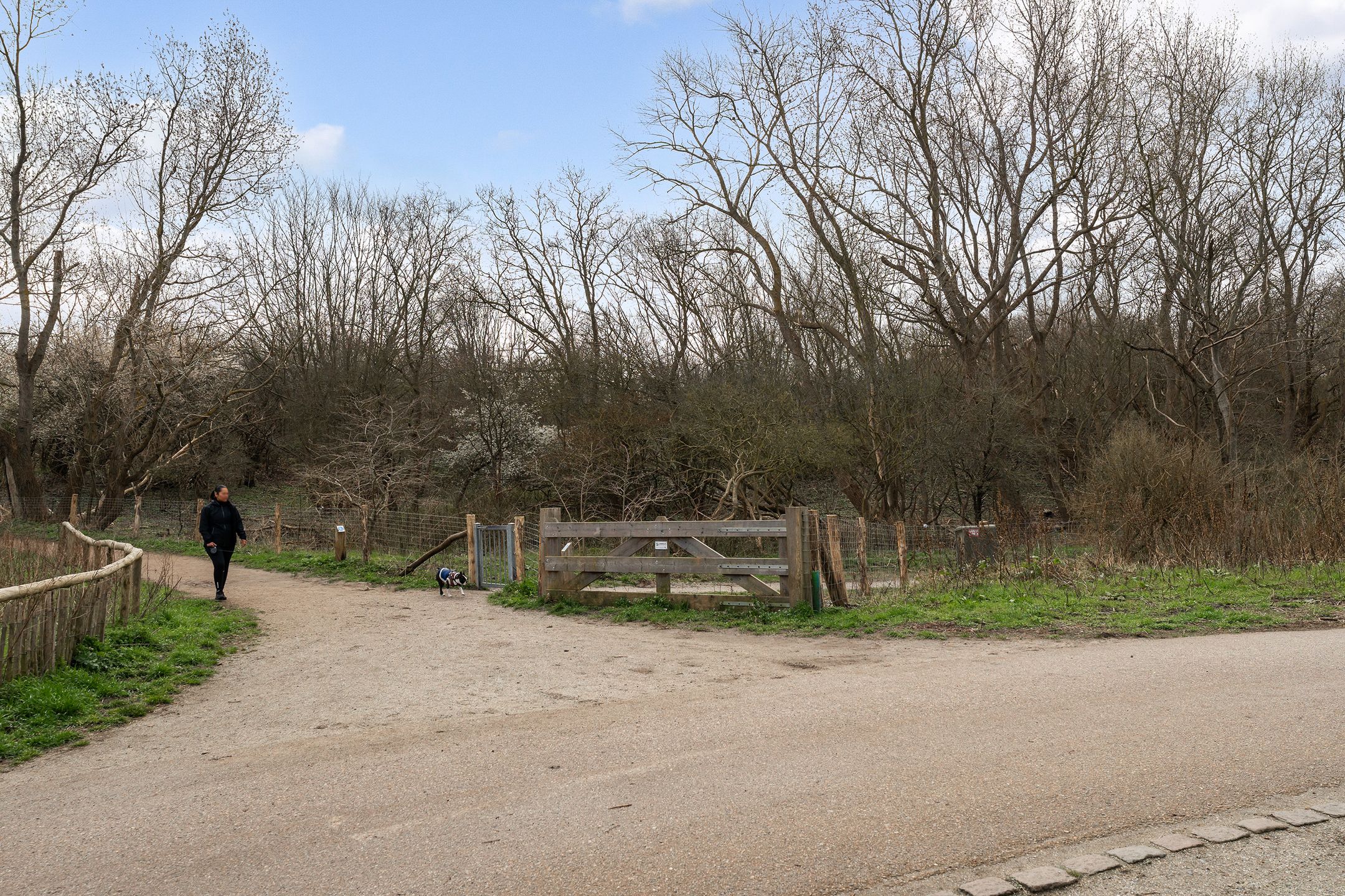 Foto 30 van Duivelandsestraat 103