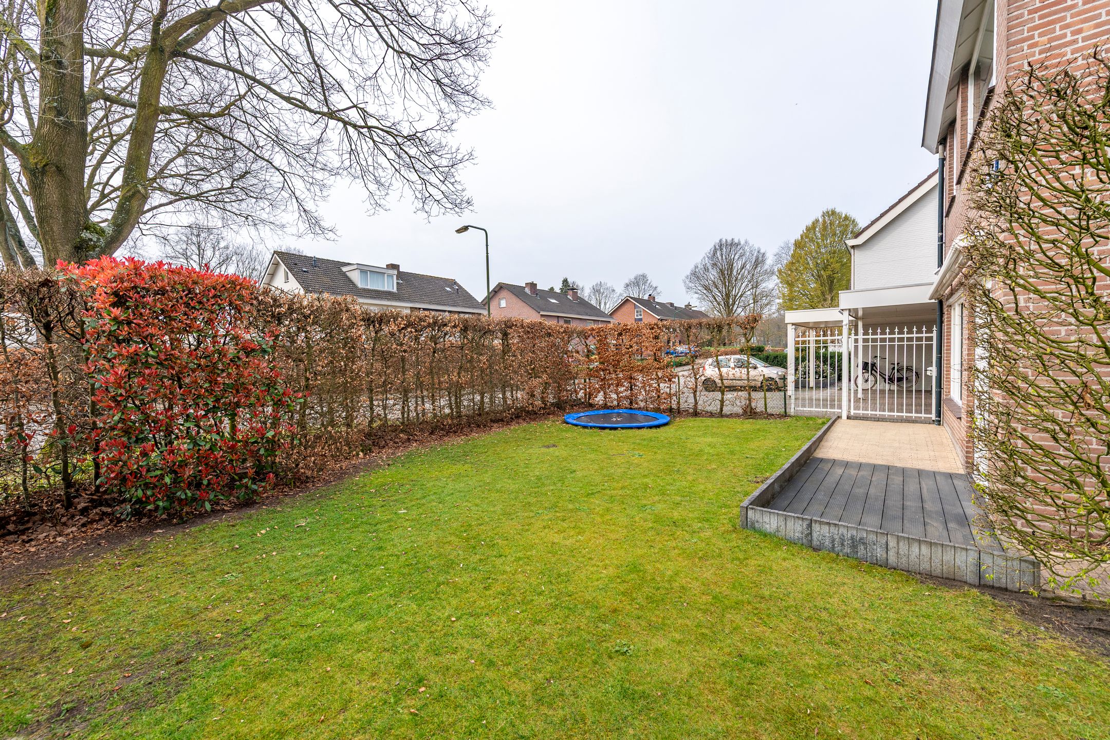 Foto 48 van Ecliptica 31