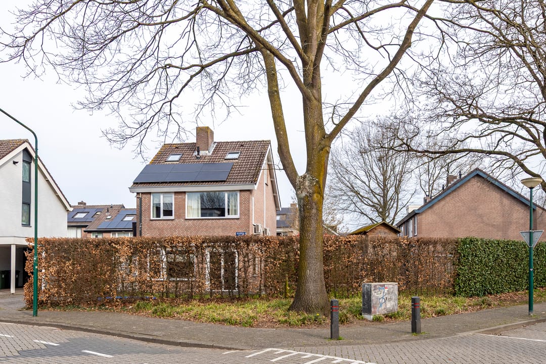 Foto 2 van Ecliptica 31