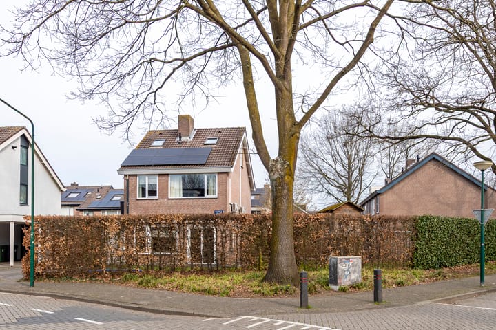 Foto 2 van Ecliptica 31