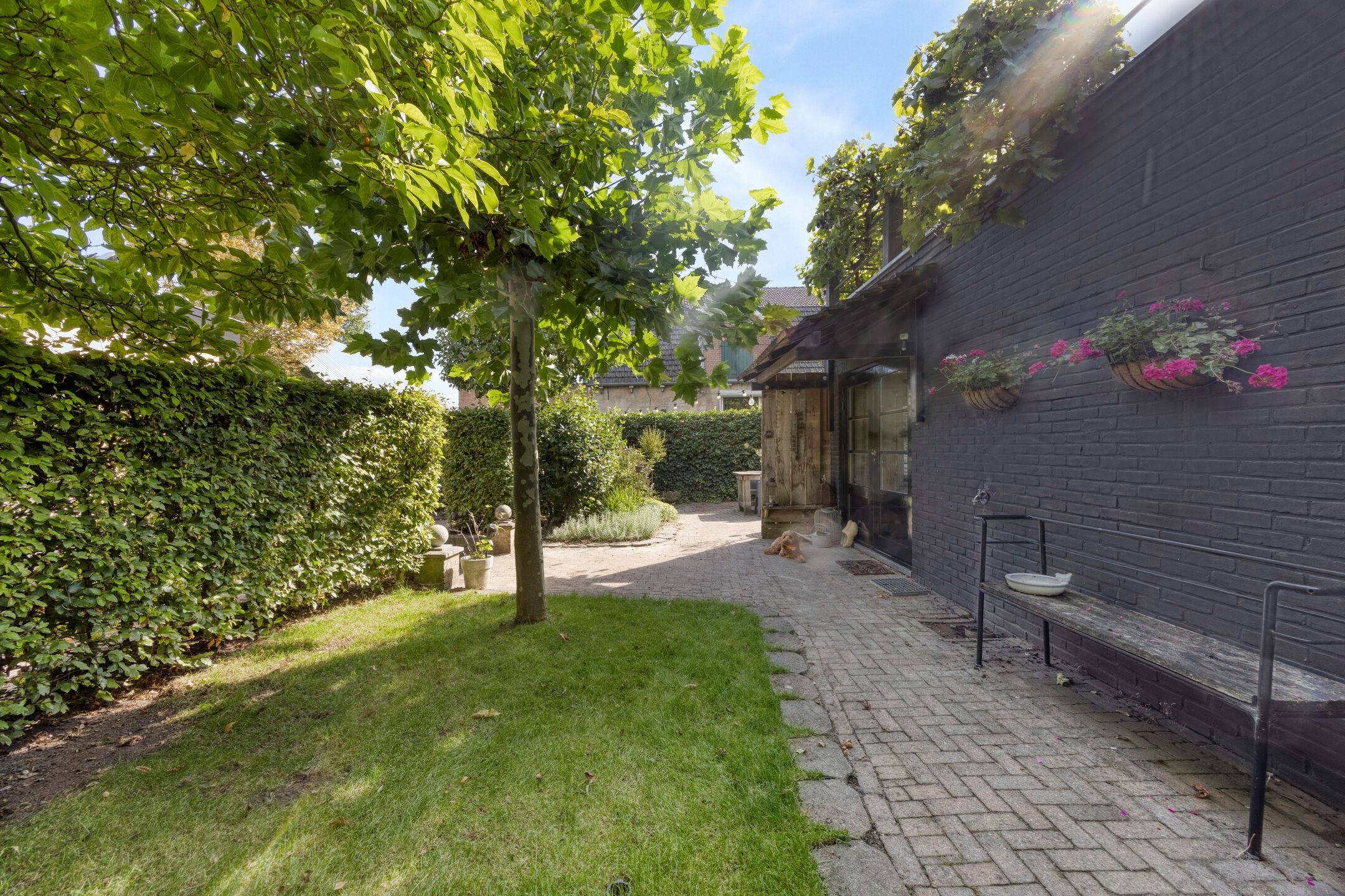 Photo 66 of Dorpsstraat 38