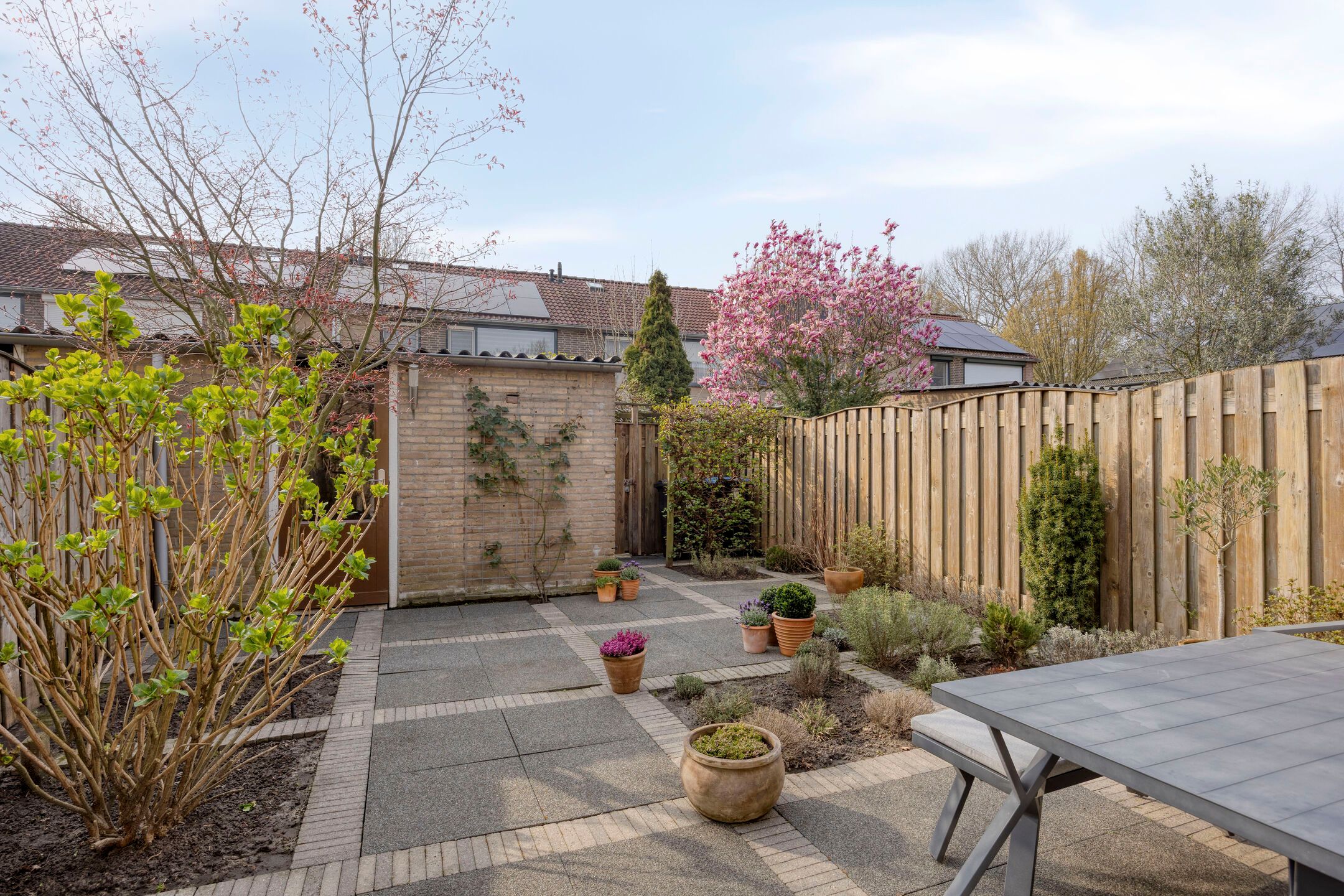 Photo 27 of Spalaan 15