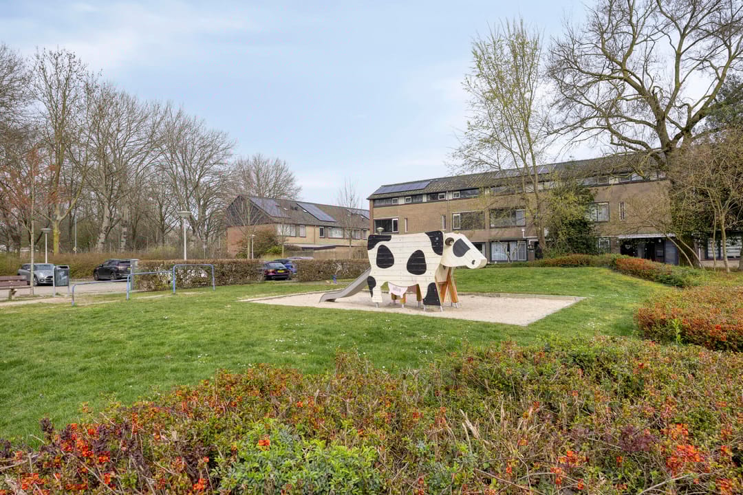 Photo 32 of Spalaan 15