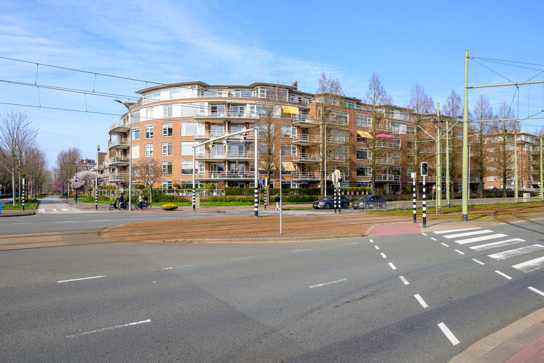 Foto 43 van Buizerdlaan 213