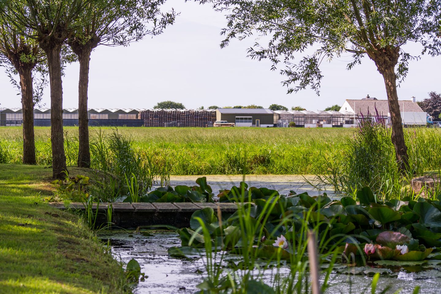 Photo 50 of Rijnsburgerweg 5