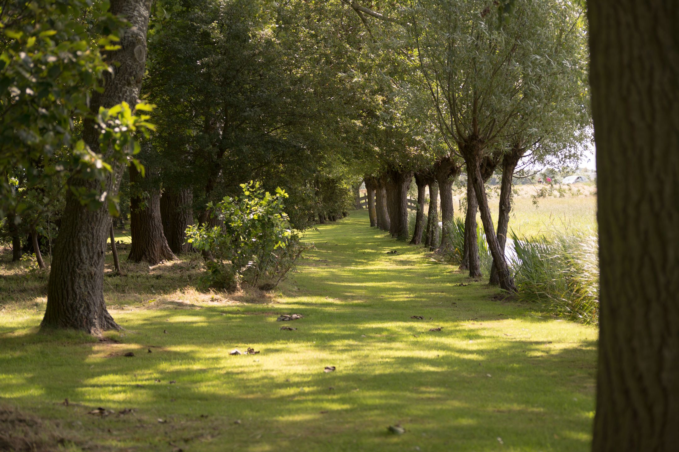 Photo 51 of Rijnsburgerweg 5