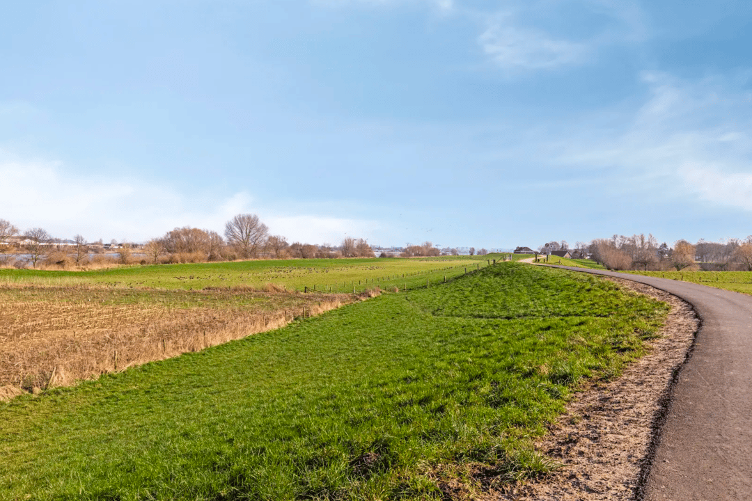 Photo 43 of Dennenstraat 4