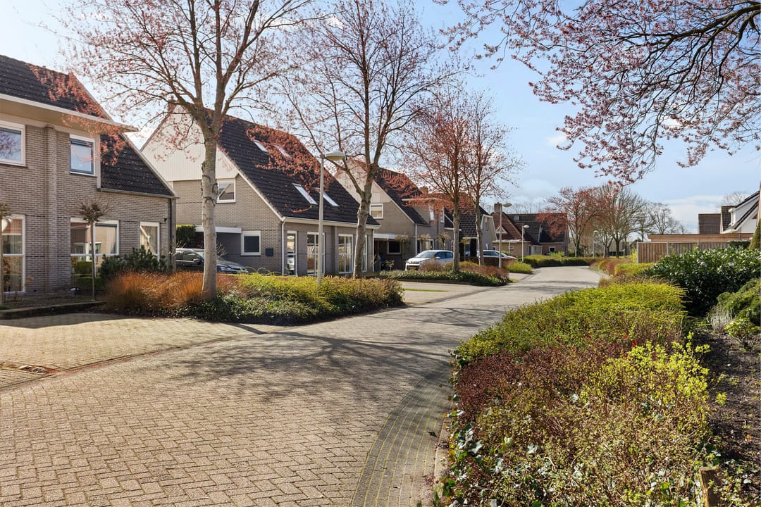 Photo 47 of De Esdoorn 8