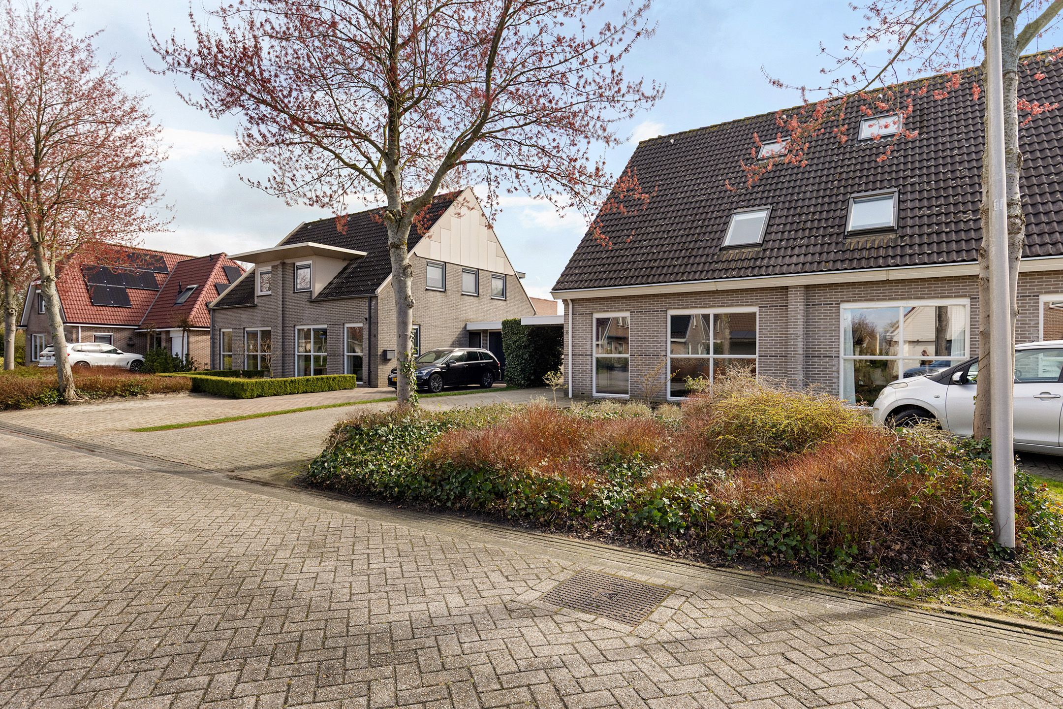 Photo 45 of De Esdoorn 8