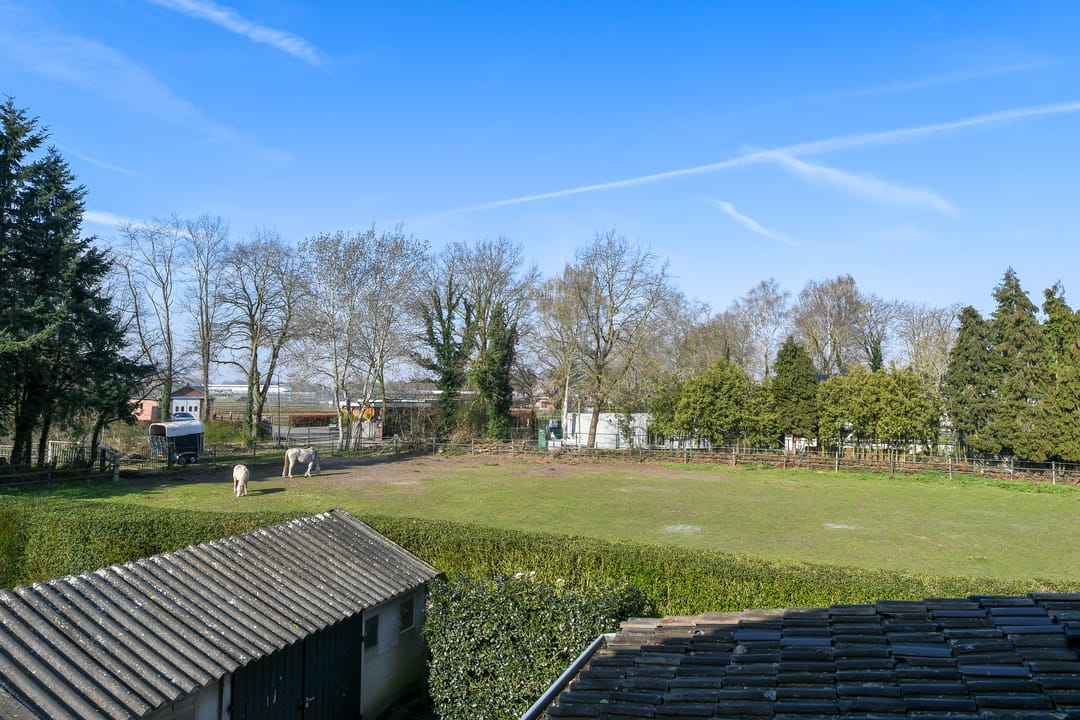 Foto 22 van Zandberg 6