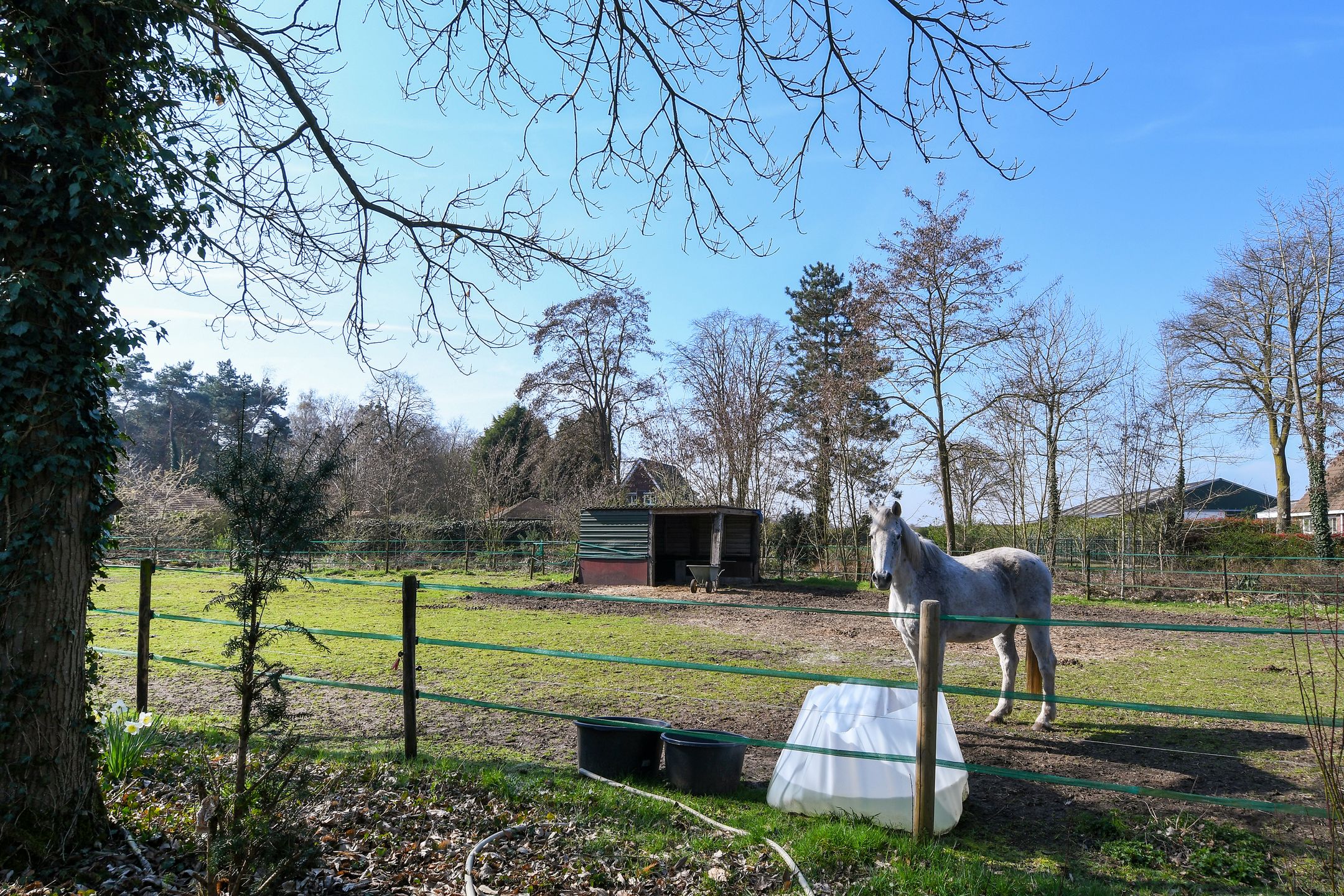 Foto 39 van Zandberg 6