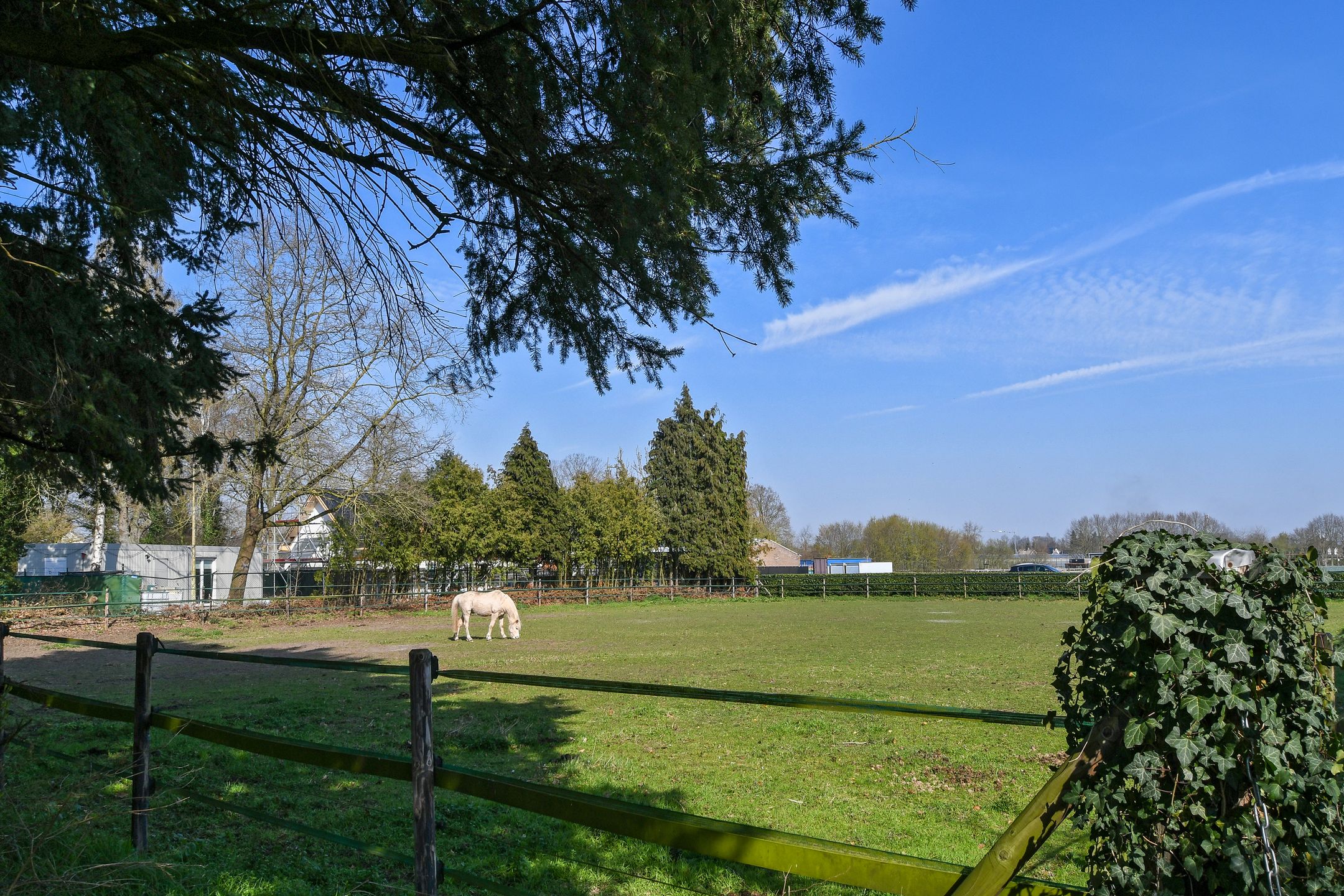 Foto 42 van Zandberg 6