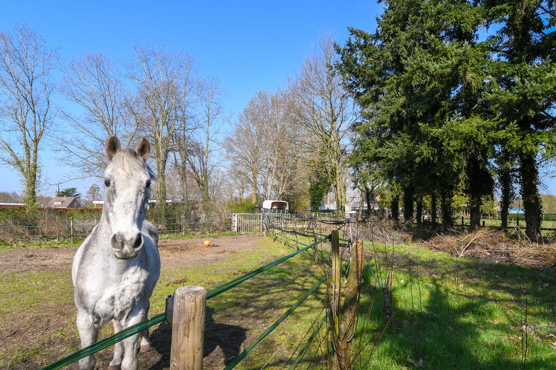 Foto 38 van Zandberg 6