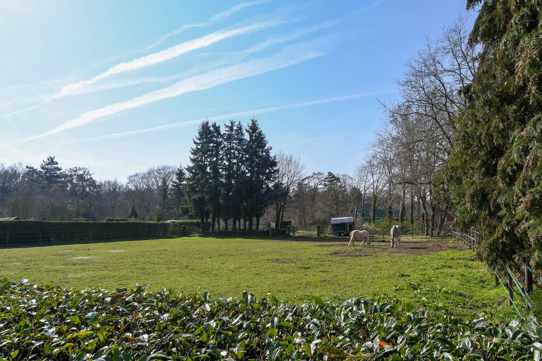 Foto 46 van Zandberg 6