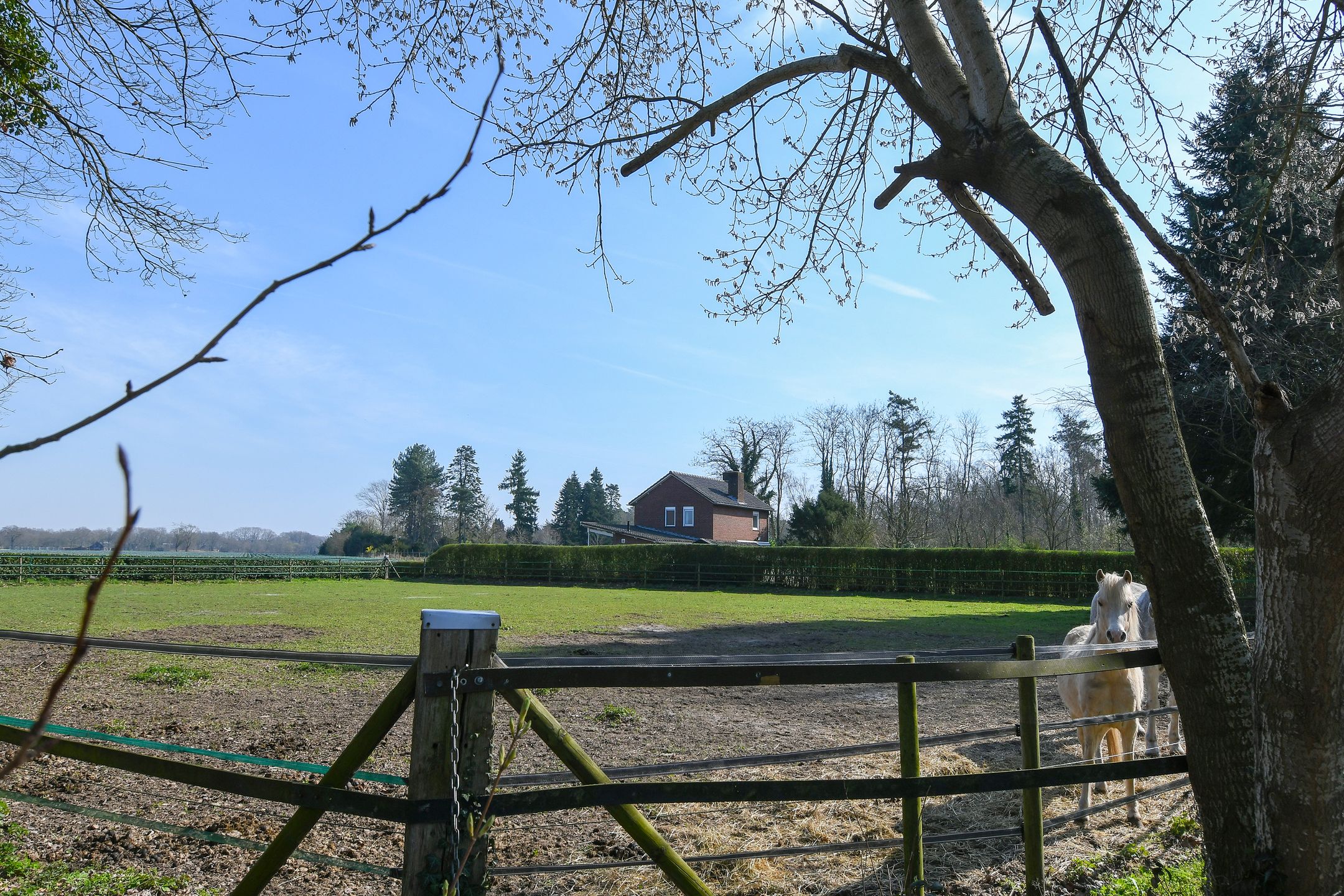 Foto 45 van Zandberg 6