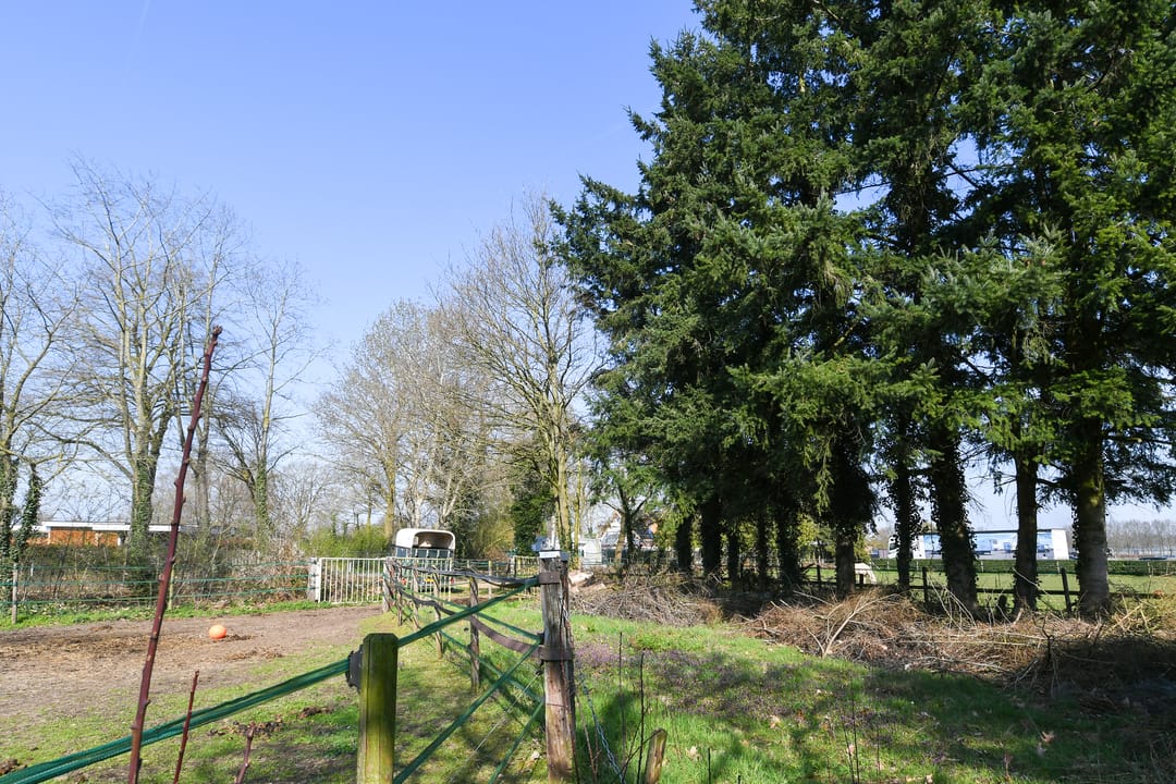 Foto 43 van Zandberg 6