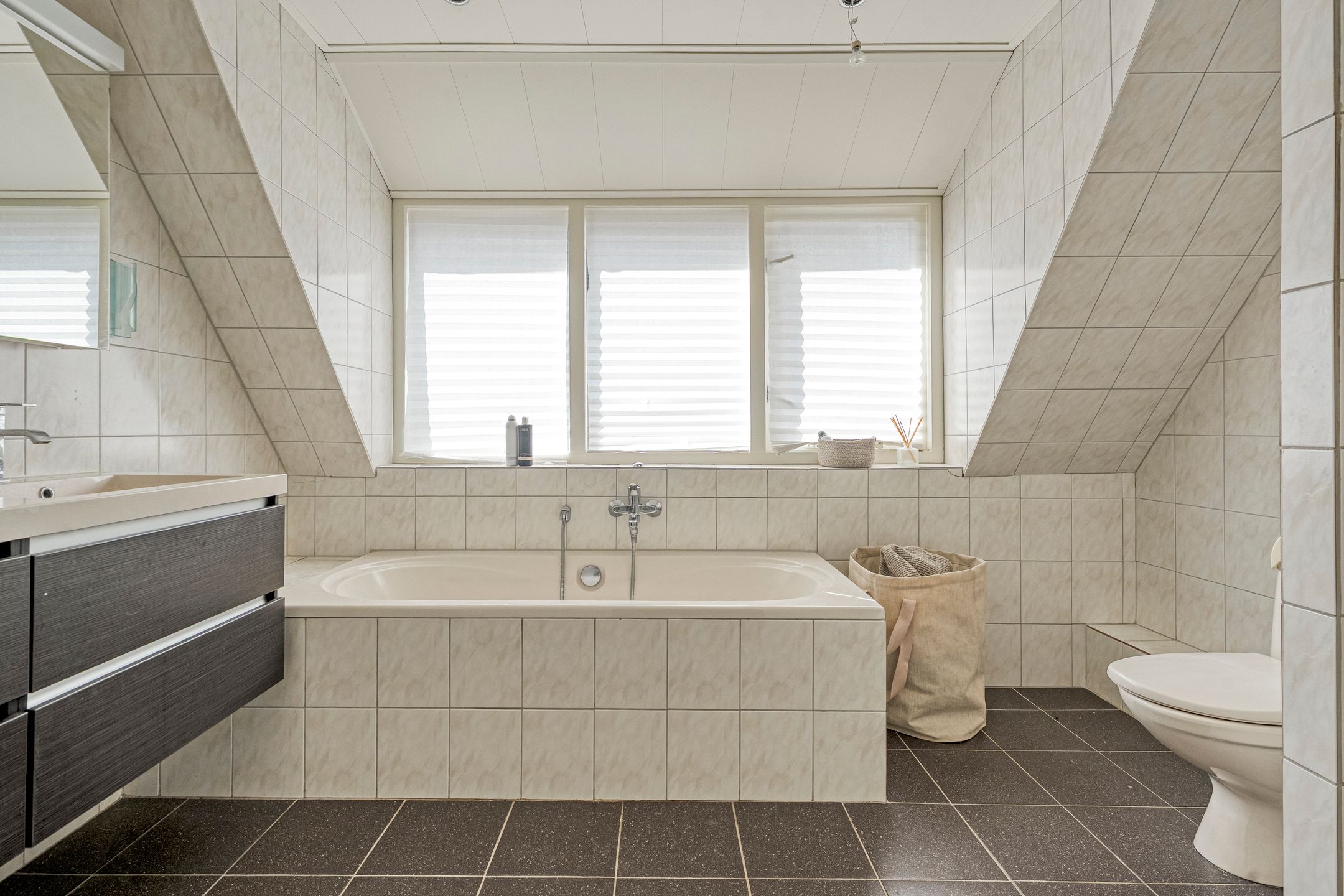 Photo 33 of De Rietgans 16