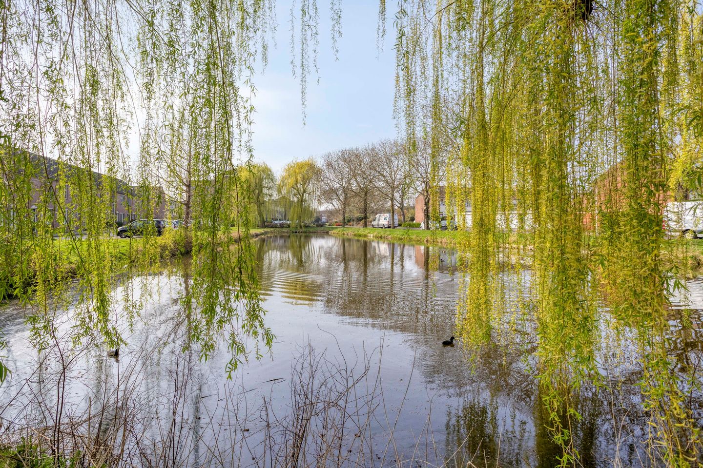 Foto 34 van Johanna van Gulikstraat 45