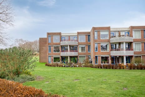 van Dorenborchstraat thumbnail