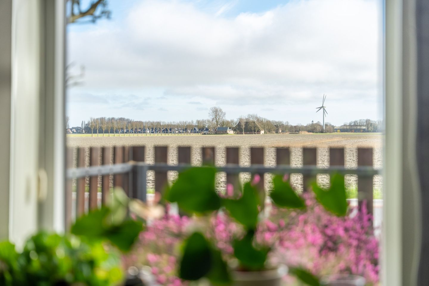 Foto 14 van Oudebildtdijk 422