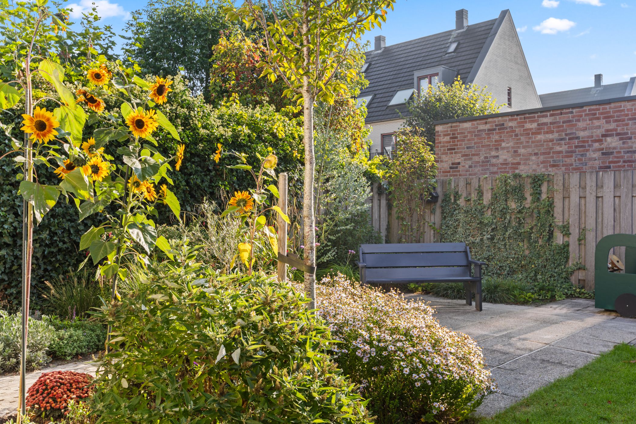 Foto 15 van Waalsteen 37