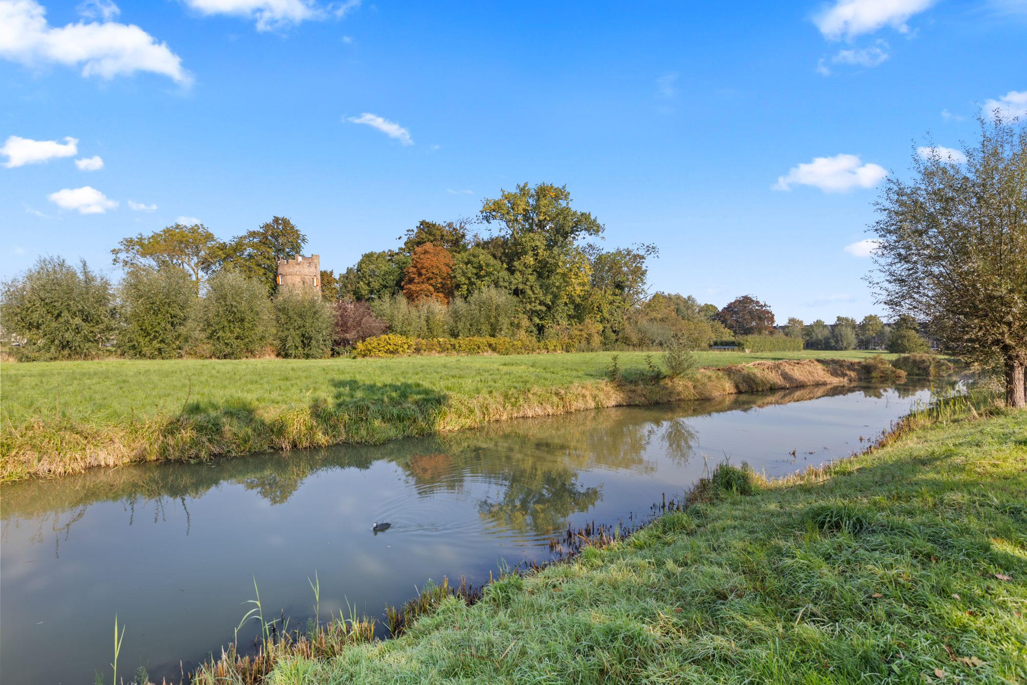 Foto 42 van Waalsteen 37