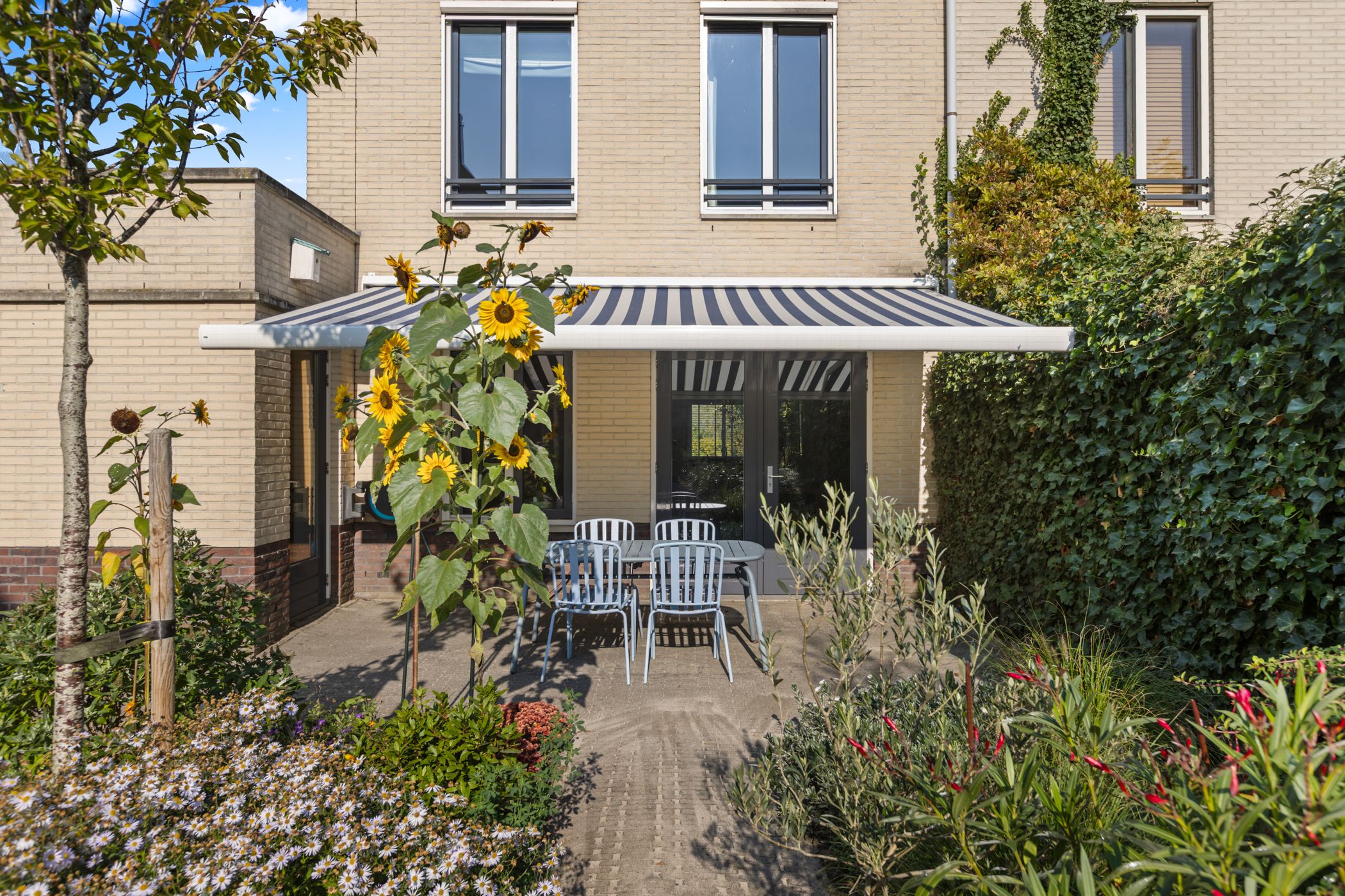 Foto 18 van Waalsteen 37