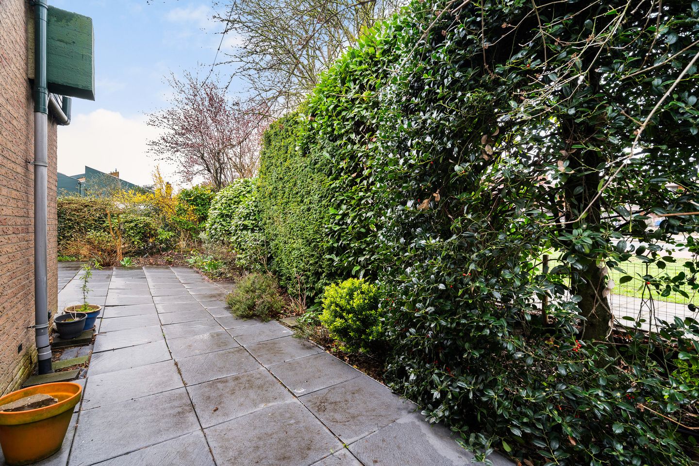 Photo 49 of Freesiastraat 11