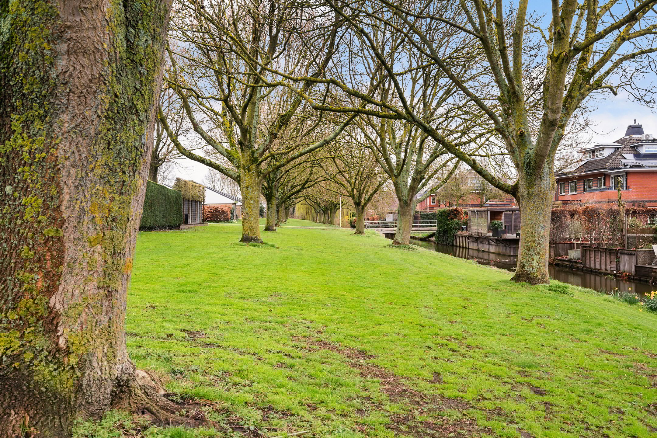 Photo 51 of Freesiastraat 11